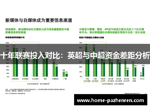 十年联赛投入对比：英超与中超资金差距分析