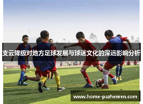 支云降级对地方足球发展与球迷文化的深远影响分析