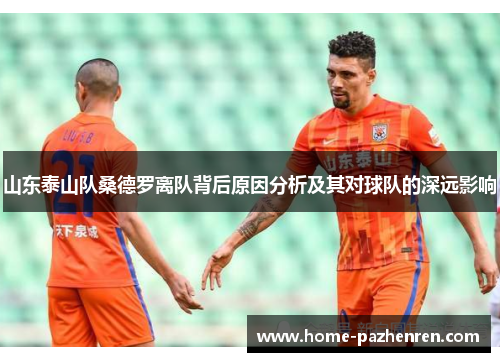 山东泰山队桑德罗离队背后原因分析及其对球队的深远影响