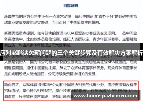 应对赵鹏谈欠薪问题的三个关键步骤及有效解决方案解析