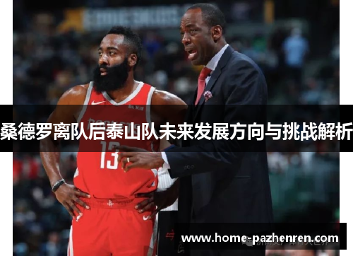 桑德罗离队后泰山队未来发展方向与挑战解析