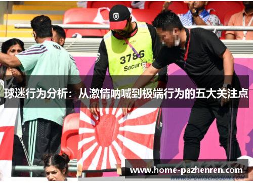 球迷行为分析：从激情呐喊到极端行为的五大关注点