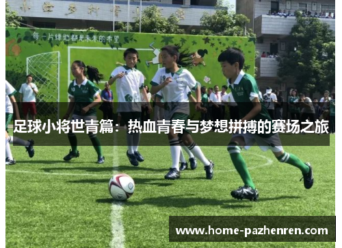 足球小将世青篇：热血青春与梦想拼搏的赛场之旅