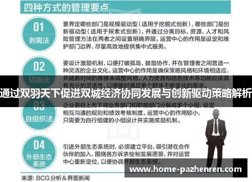 通过双羽天下促进双城经济协同发展与创新驱动策略解析